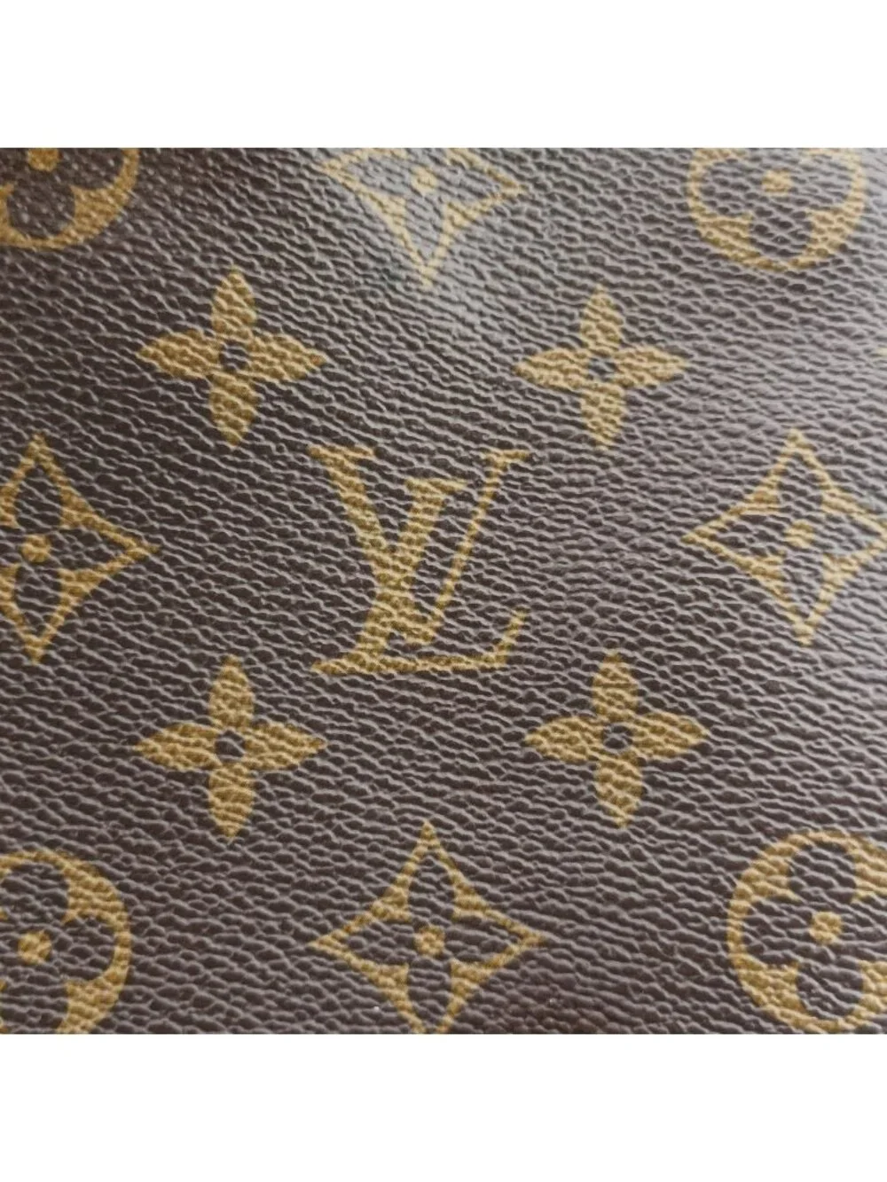 Louis Vuitton brand louis